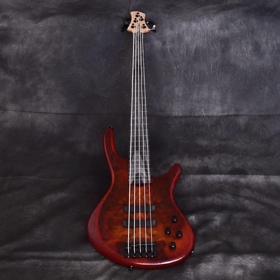 ROSCOE BASS FRETLESS STD 5 PLUS Bass Gear Direct