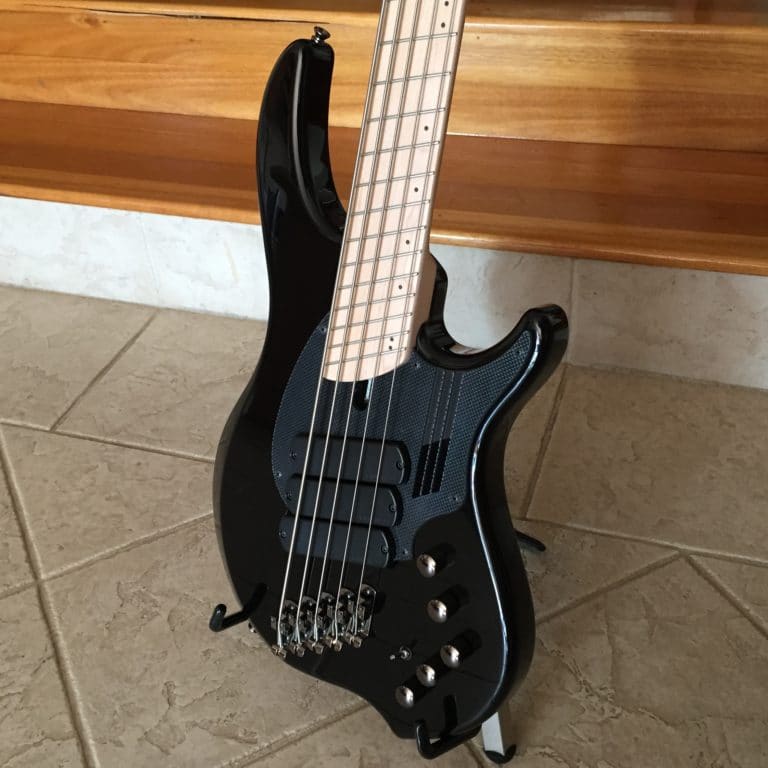 Dingwall Bass Guitar NG3 5 bk FREE Shipping Bass Gear Direct